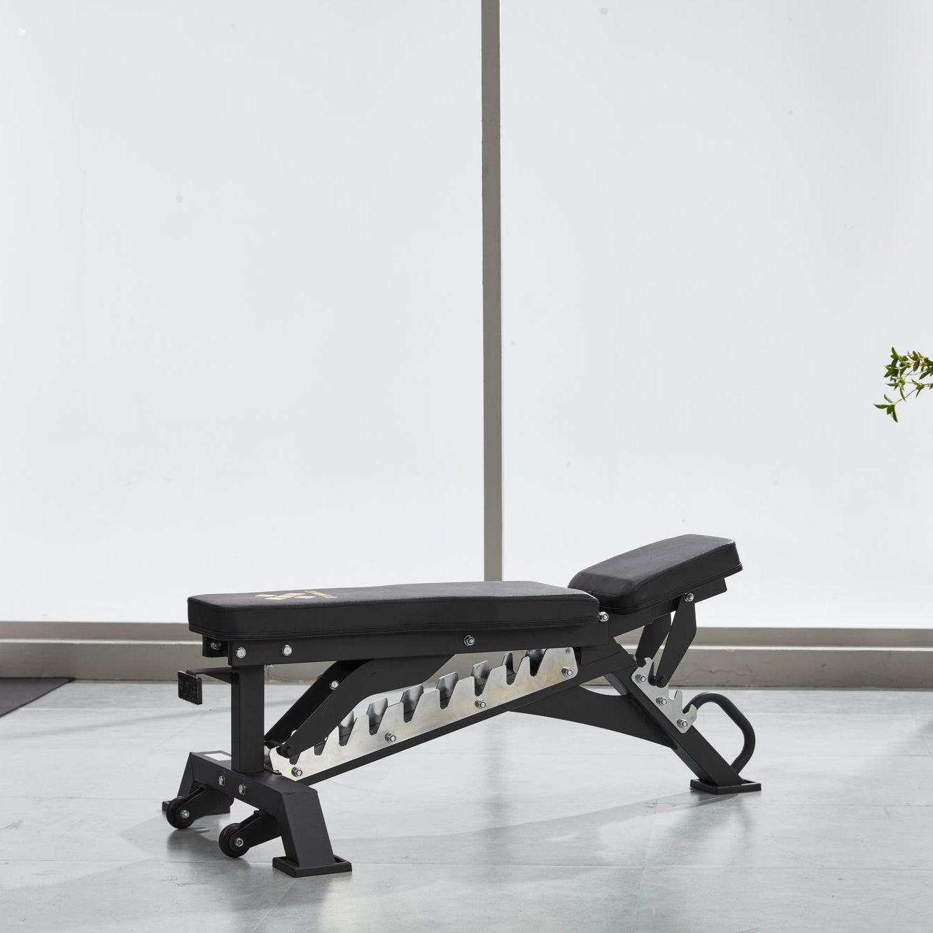 Adjustable Weight Bench